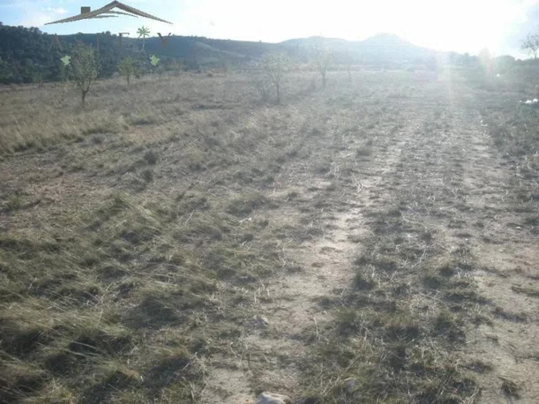 Terreno en venta en Hondón de las Nieves, Alicante photo 4