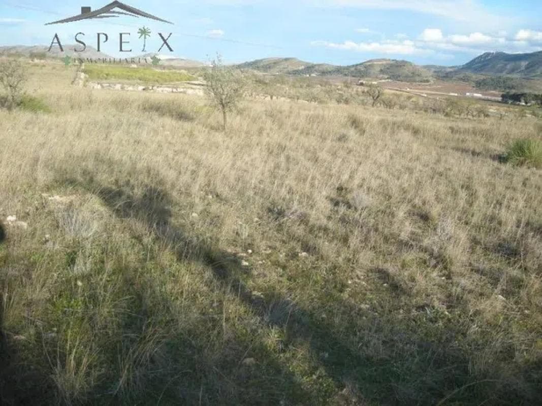Terreno en venta en Hondón de las Nieves, Alicante photo 5