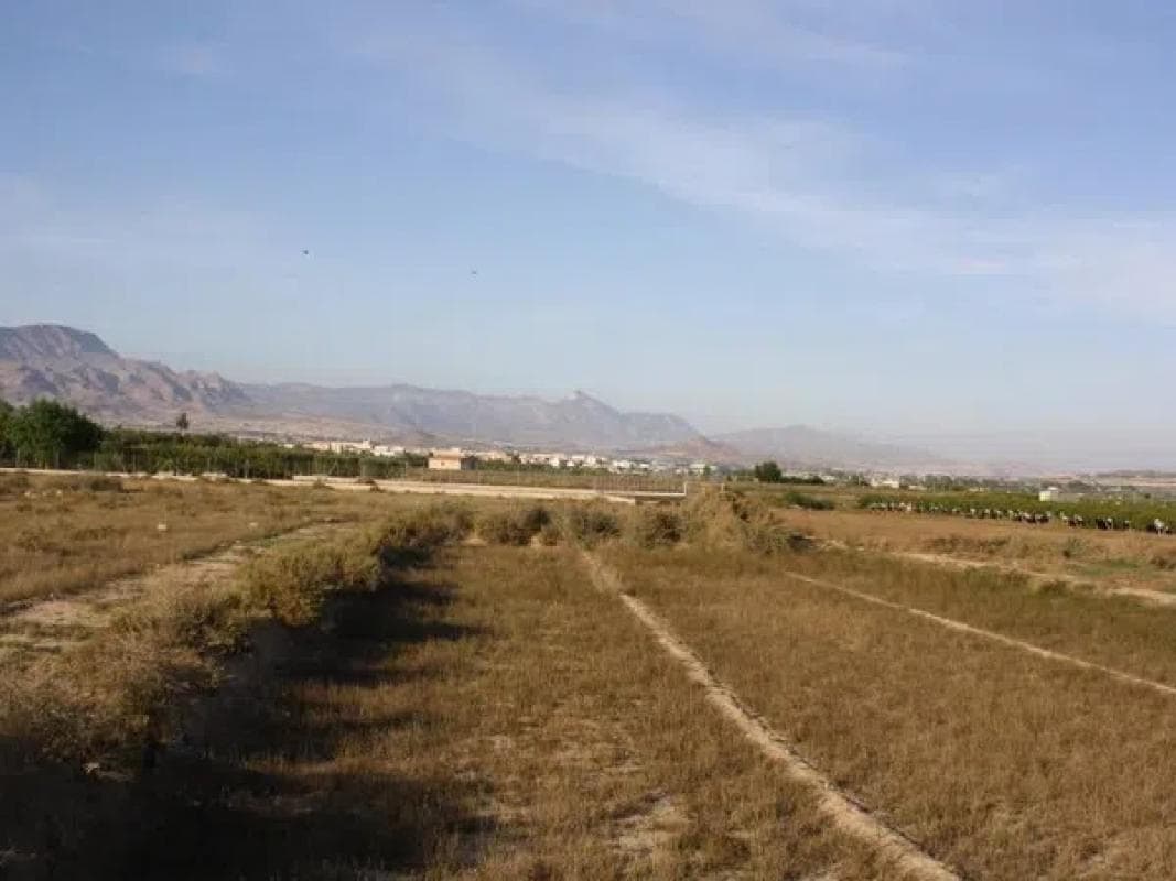Terreno en venta en Aspe, Alicante photo 5