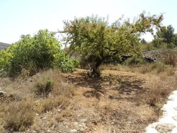 Product photo 3