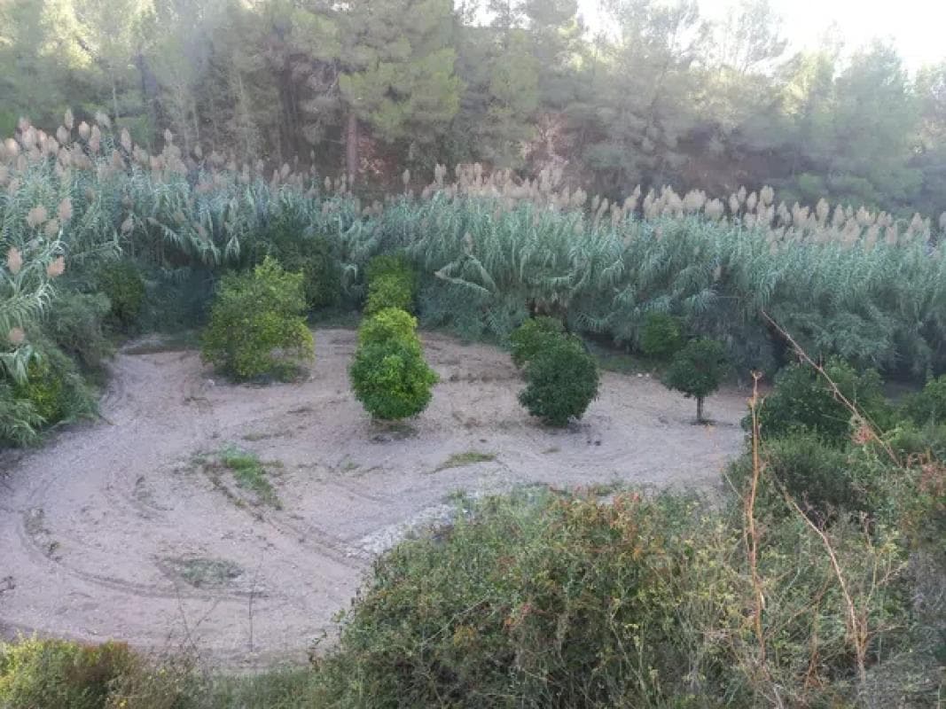 Terreno en venta en Benissa, Alicante photo 4