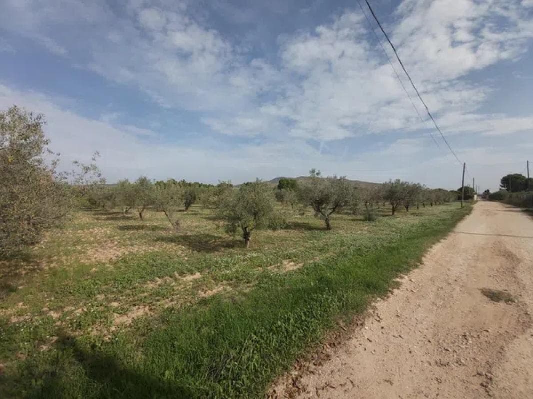 Terreno en venta en Villena, Alicante photo 3