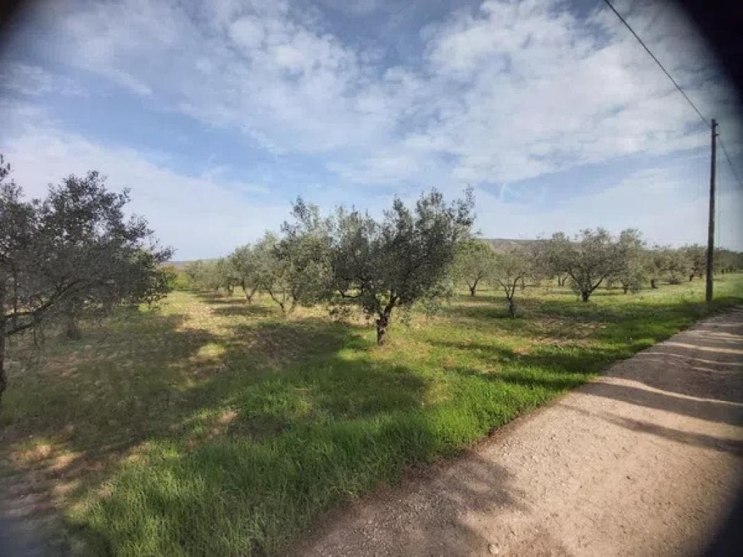 Terreno en venta en Villena, Alicante photo 4
