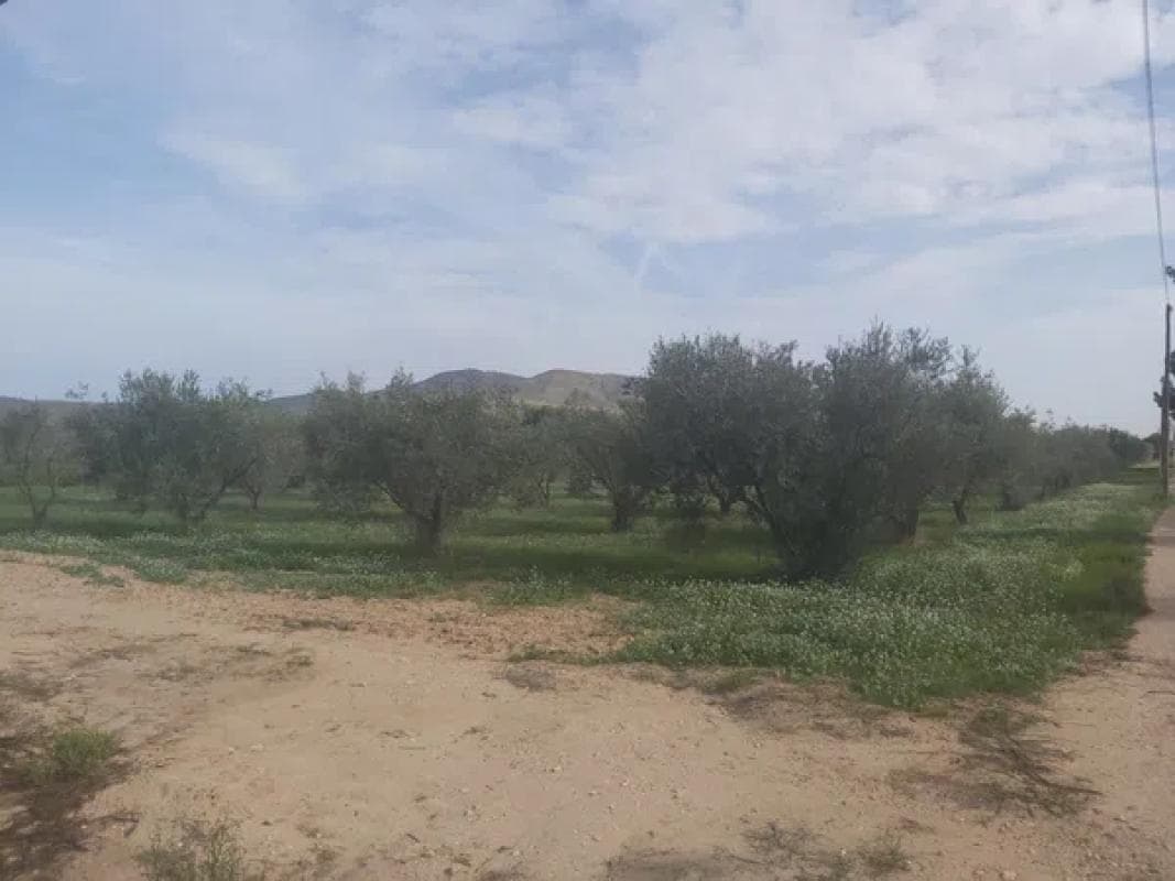 Terreno en venta en Villena, Alicante photo 5