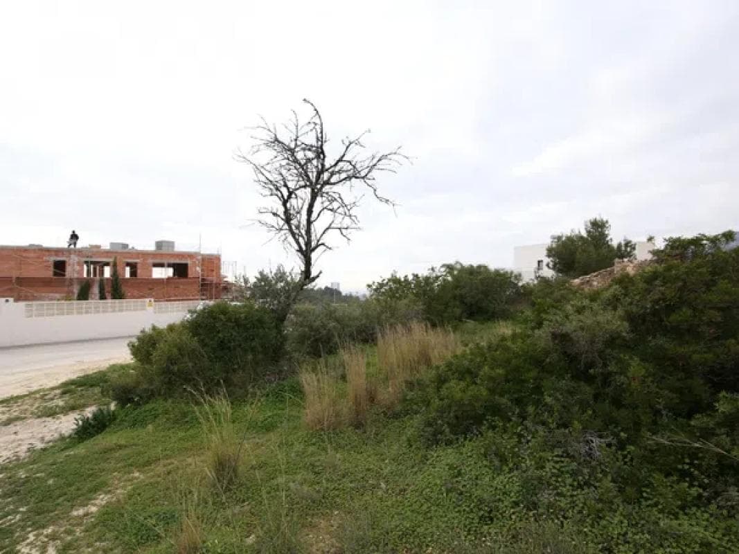 Property photo 4