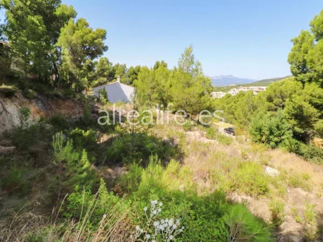 Property photo 3