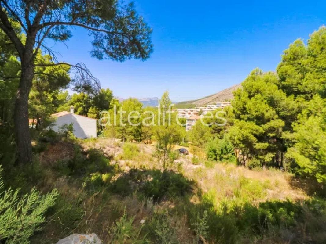 Property photo 4