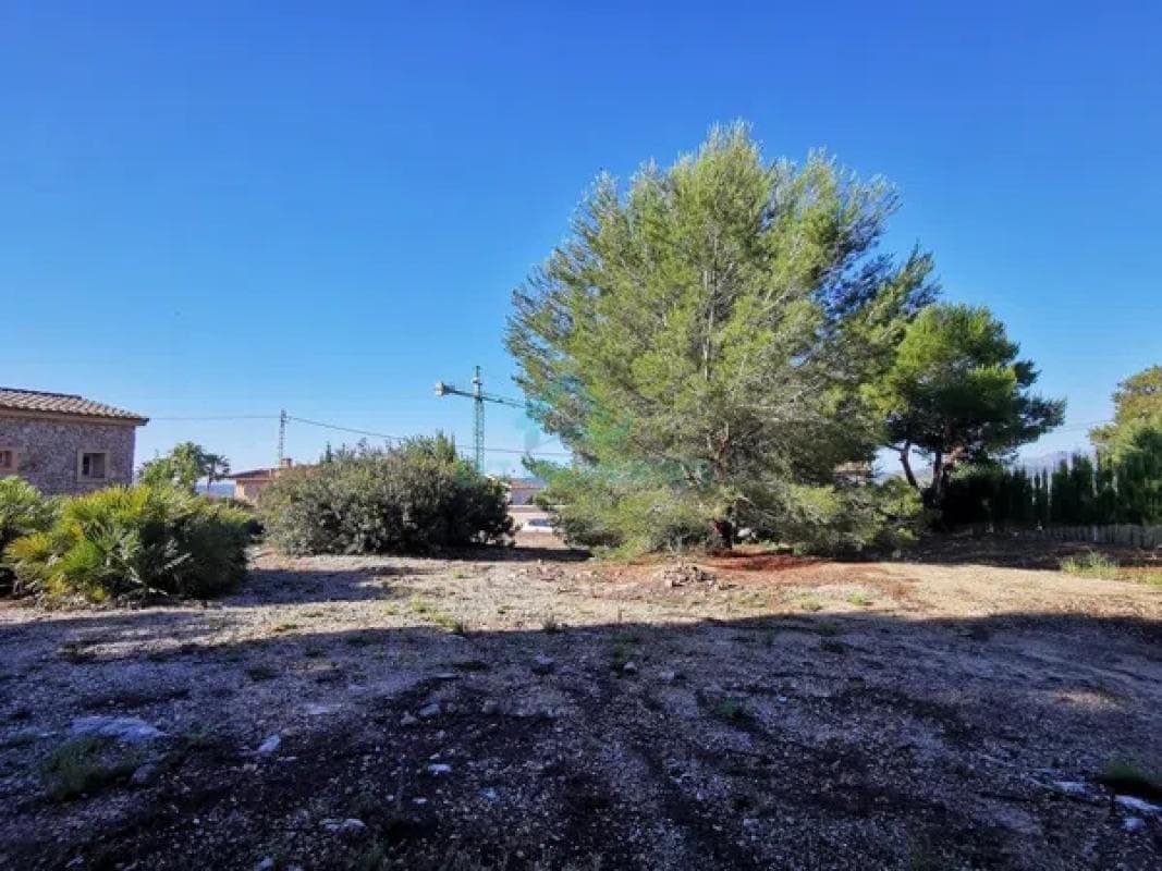 Terreno en venta en Jávea/Xàbia, Alicante photo 4