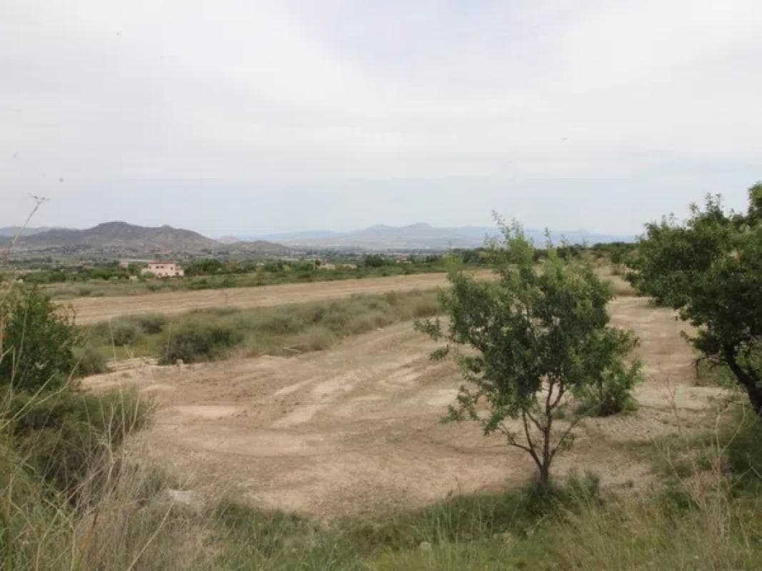 Terreno en venta en Aspe, Alicante photo 5