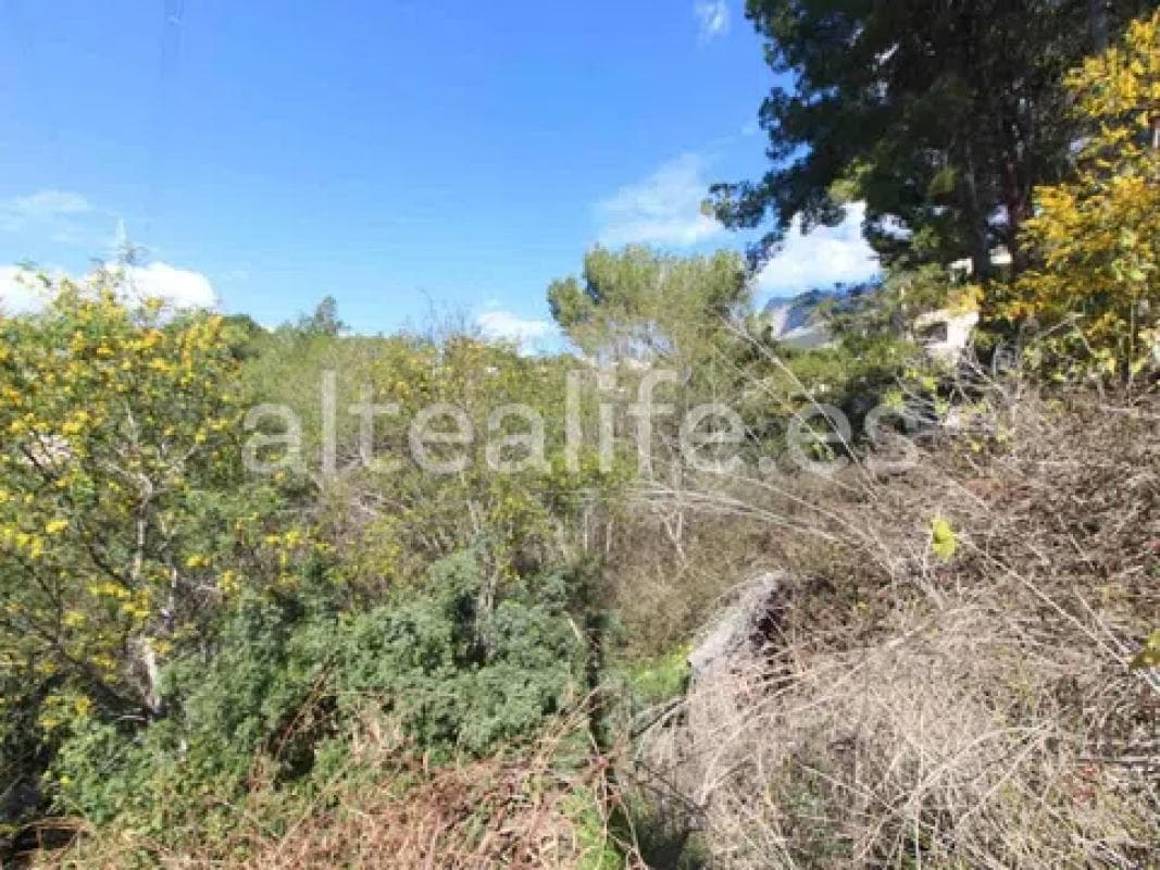 Property photo 5
