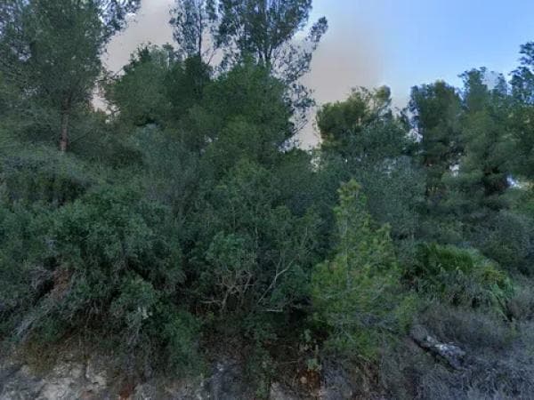 Terreno en Los Claveles photo 2