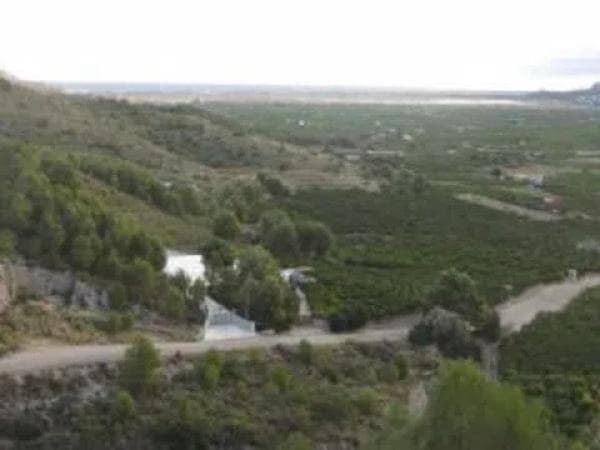 Terreno en Pego photo 3