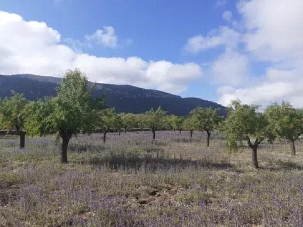 Terreno en Poligono 9, 57 photo 2