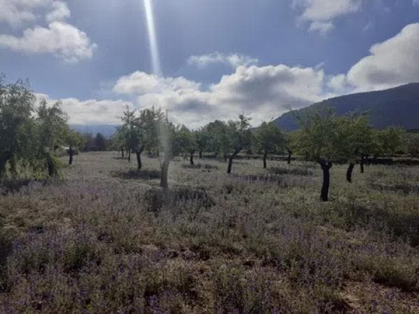 Terreno en Poligono 9, 57 photo 3