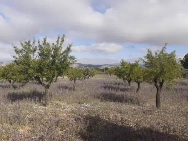 Terreno en Poligono 9, 57 photo 4