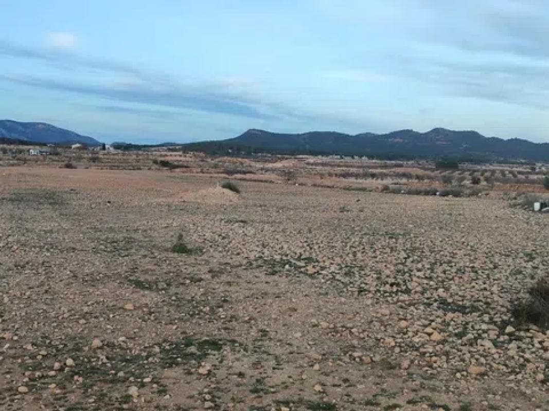 Terreno en venta en Pinoso, Alicante photo 3