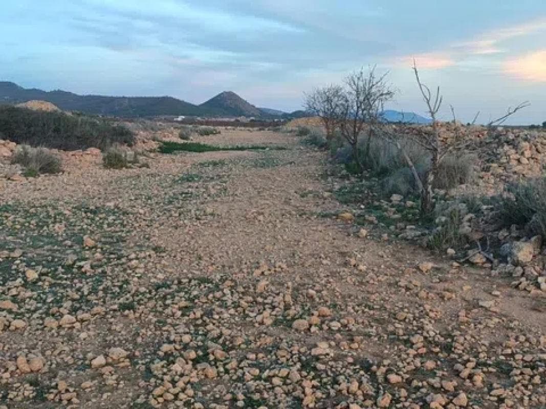 Terreno en venta en Pinoso, Alicante photo 4