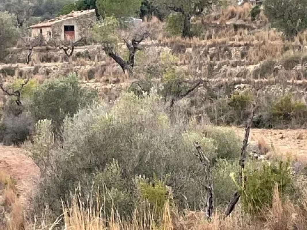 Terreno en venta en Benissa, Alicante photo 4
