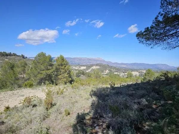 Terreno en Millena photo 2