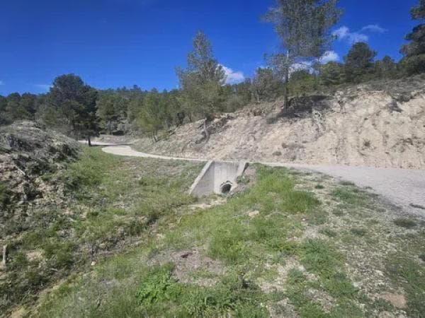 Terreno en Millena photo 3