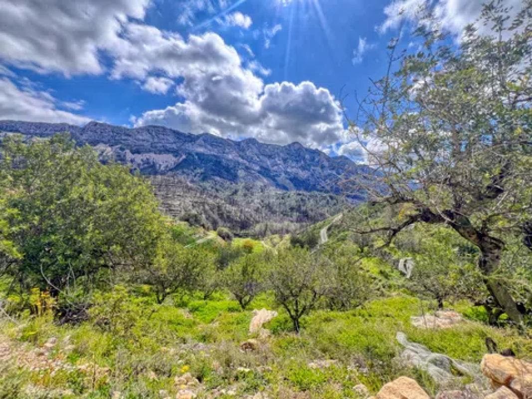 Terreno en venta en Tarbena, Alicante photo 4
