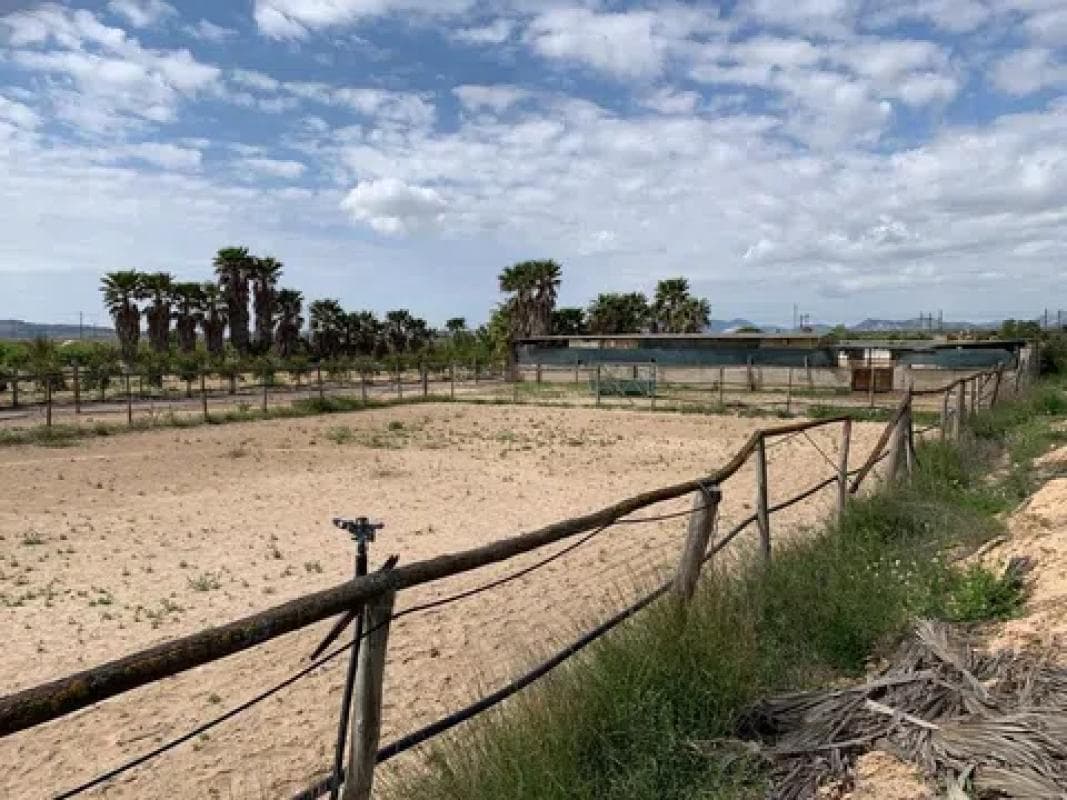Terreno en venta en Monforte del Cid, Alicante photo 5