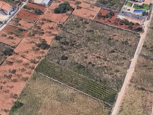 Terreno en N-332 photo 1