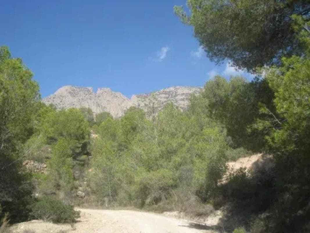 Property photo 4