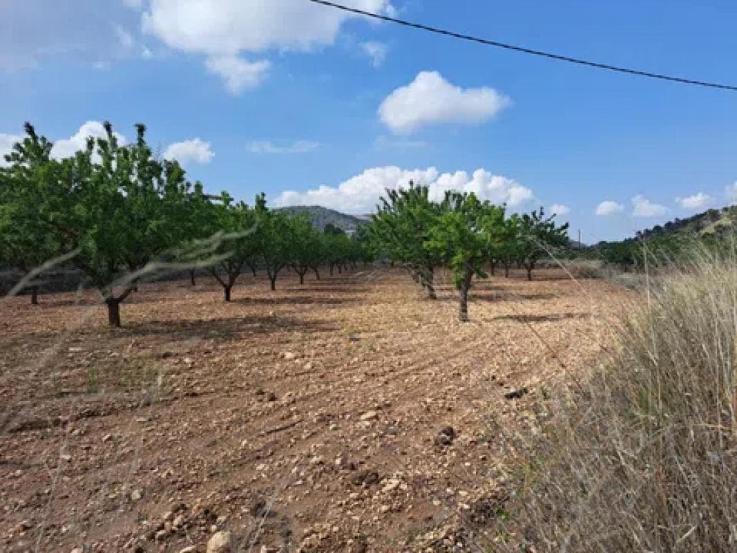Terreno en venta en Pinoso, Alicante photo 2