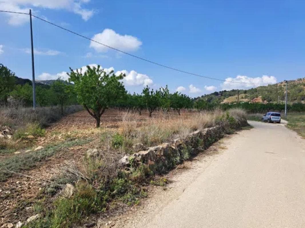 Terreno en venta en Pinoso, Alicante photo 5