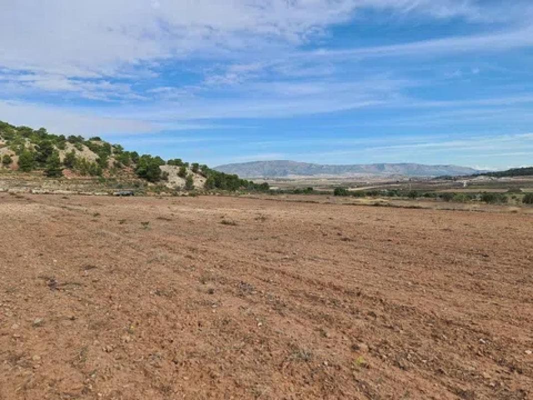 Terreno en venta en Pinoso, Alicante photo 2
