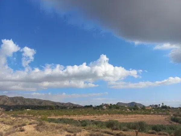 Terreno en camino de la Pedrera s/n thumbnail 2