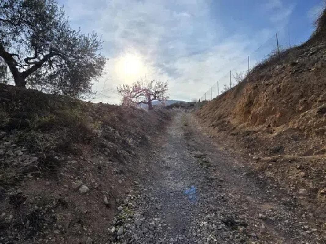 Terreno en venta en Novelda, Alicante photo 4
