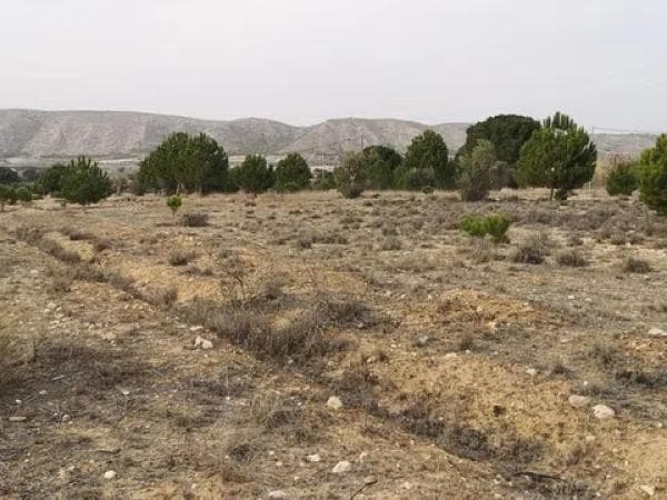 Terreno en Peña Rubia s/n photo 1
