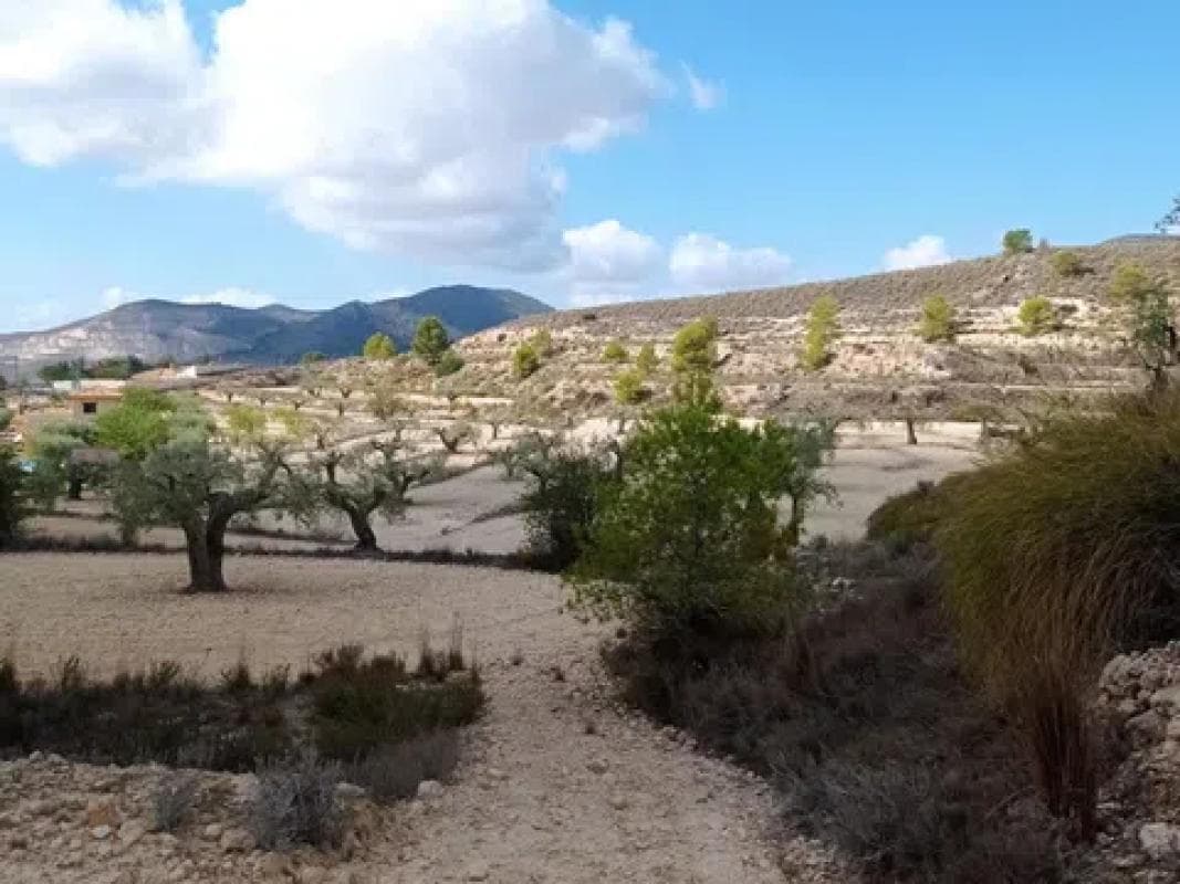 Terreno en venta en Hondón de las Nieves, Alicante photo 3