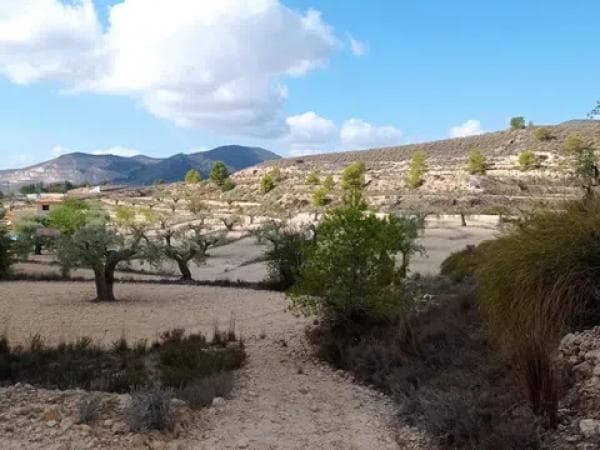 Terreno en Hondón de las Nieves thumbnail 2