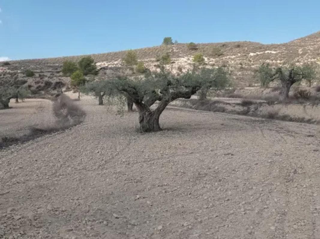 Terreno en venta en Hondón de las Nieves, Alicante photo 4