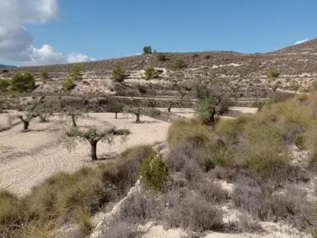 Terreno en venta en Hondón de las Nieves, Alicante photo 5