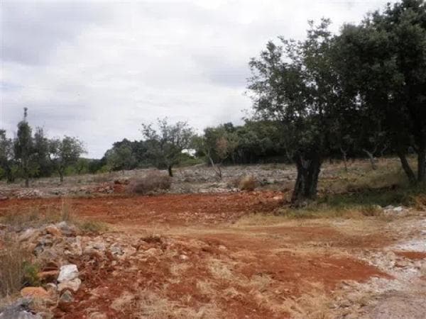 Terreno en Arrabal Zval-30 Pedrera photo 1