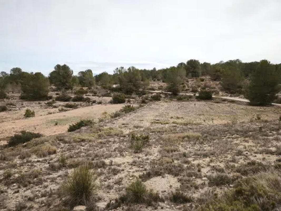 Terreno en venta en Monovar, Alicante photo 2