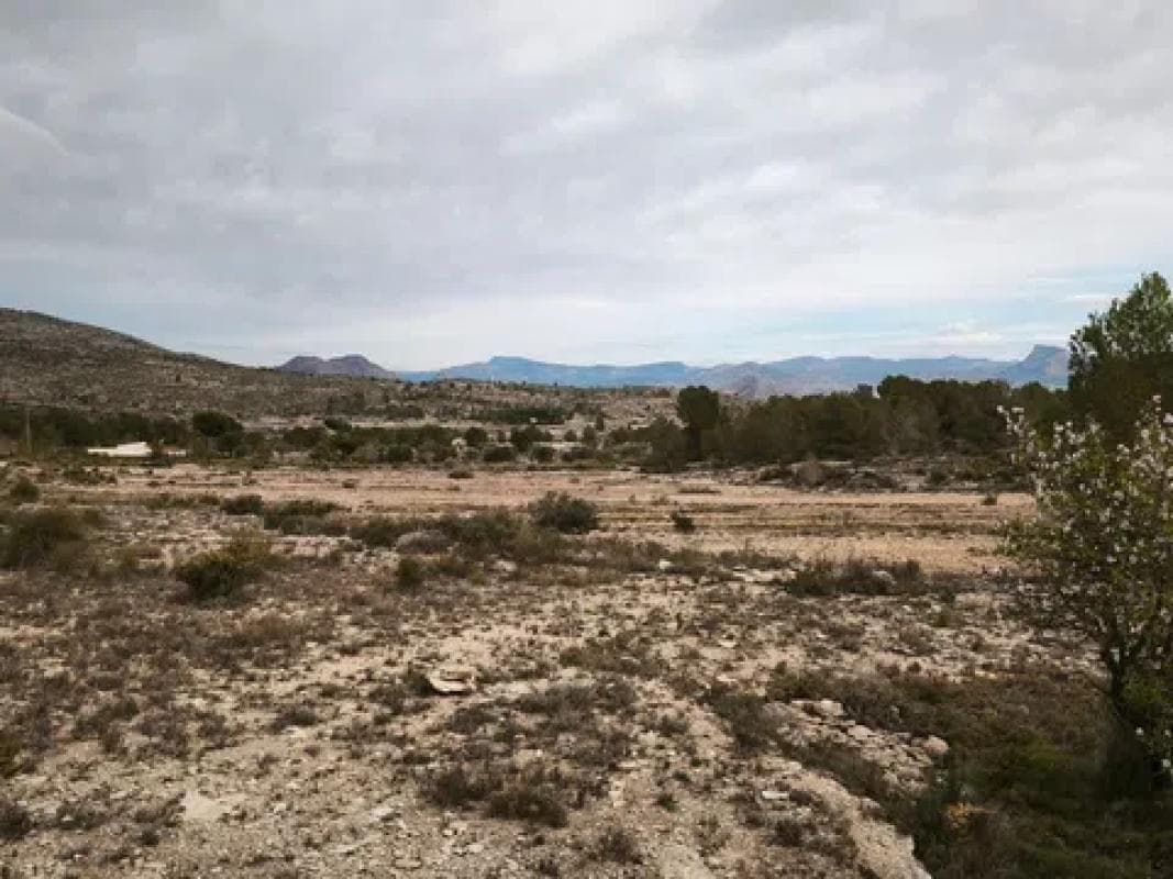 Terreno en venta en Monovar, Alicante photo 3
