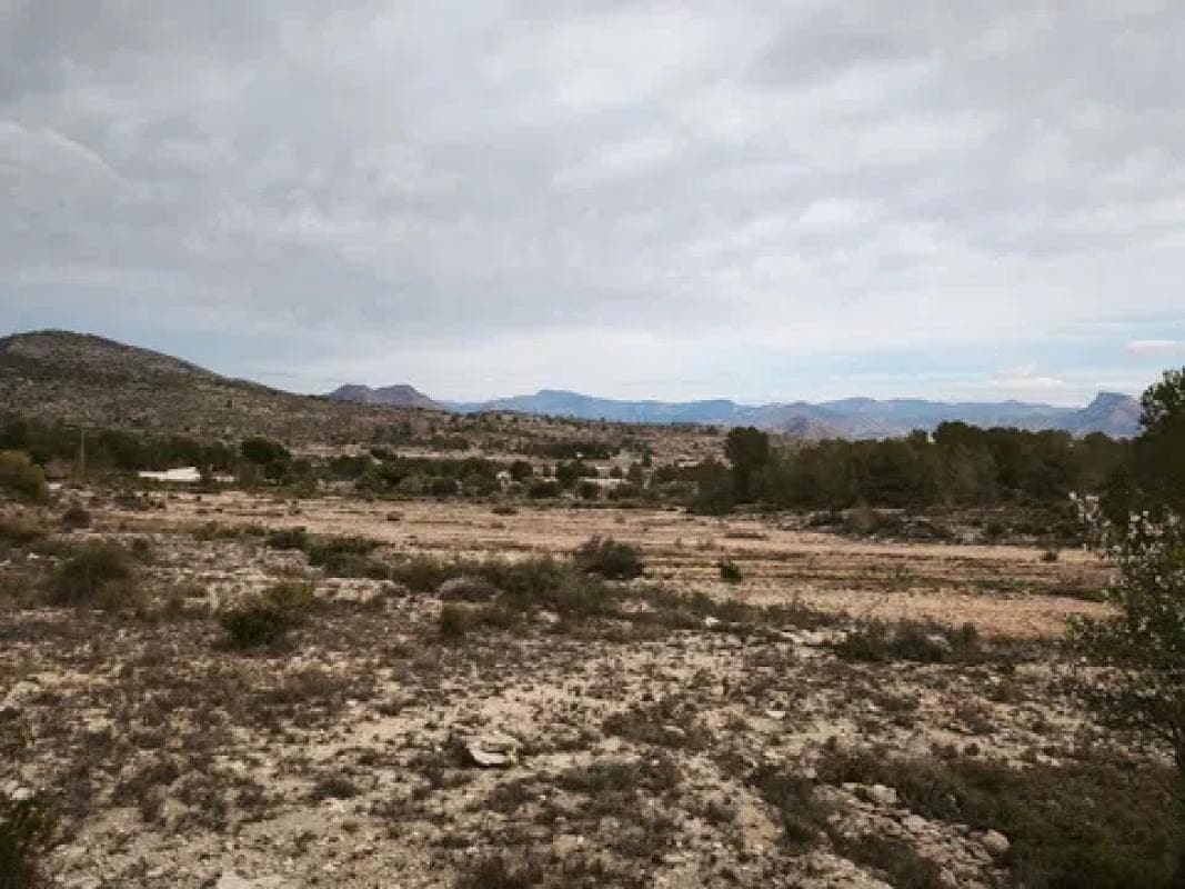 Terreno en venta en Monovar, Alicante photo 4