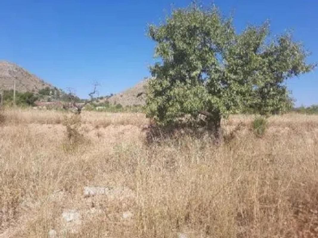 Terreno en venta en La Romana, Alicante photo 3
