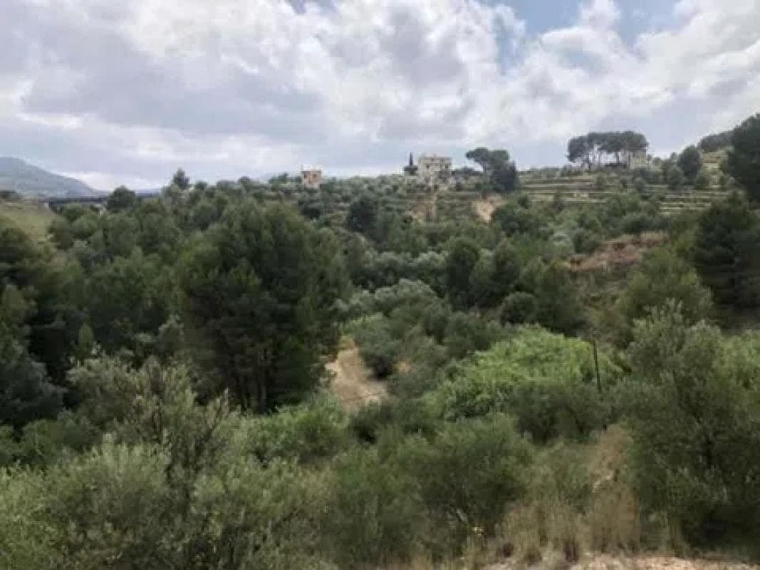 Property photo 4