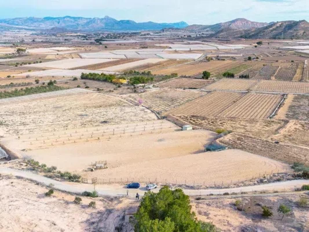 Terreno en venta en Monforte del Cid, Alicante photo 5