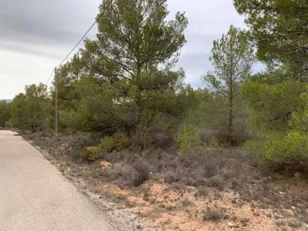 Property photo 3