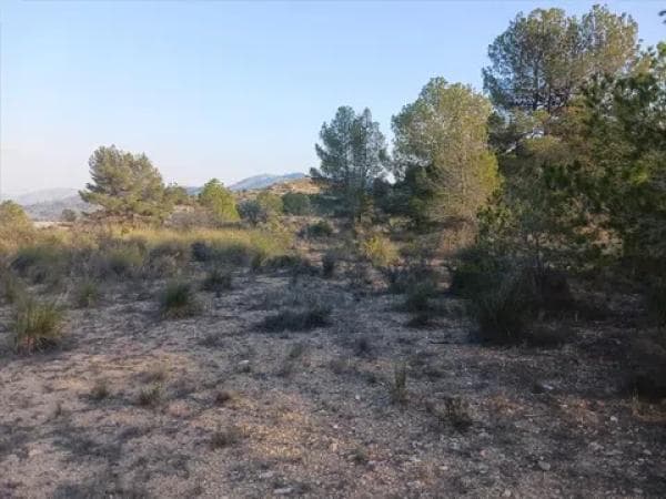 Terreno en Vía photo 1