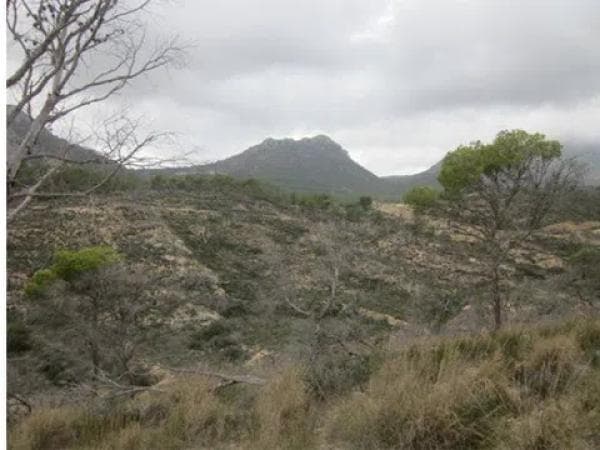 Terreno en calle Xaloc photo 2