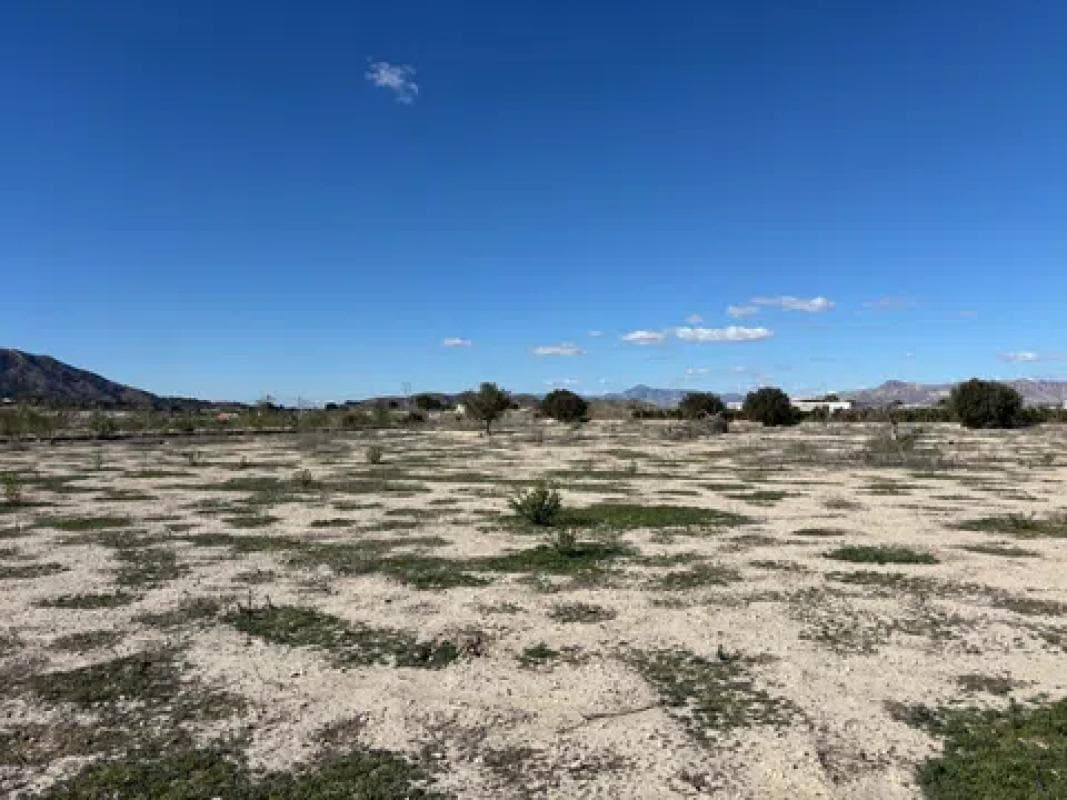Terreno en venta en Orihuela, Alicante photo 3