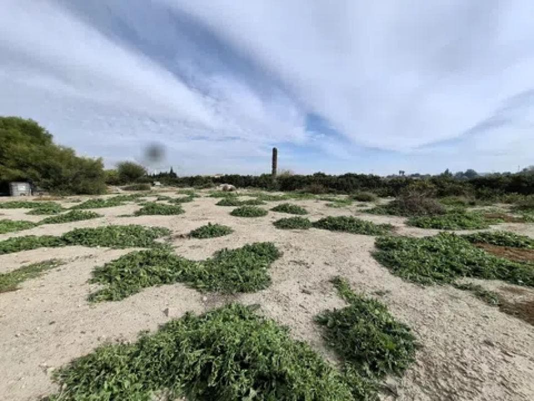 Terreno en venta en San Fulgencio, Alicante photo 2